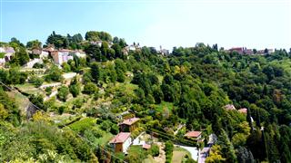 Vineyards Above Bergamo