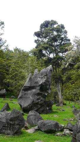 Abbey Caves