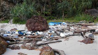 Rubbish on Beach at Ko Kradan