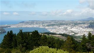 View over Dunedin