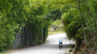 guangxi_bamboo_arches