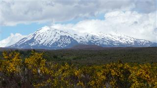 Mount Ruapehu