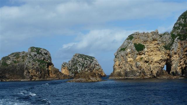 Poorknights Islands