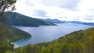 Queen Charlotte Track