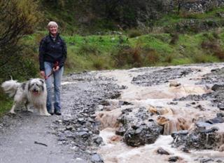 Rambla in Flood