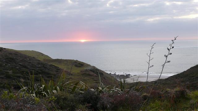 Tasman Sea